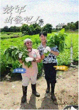 神马影视在线 奇葩说 辩论综艺